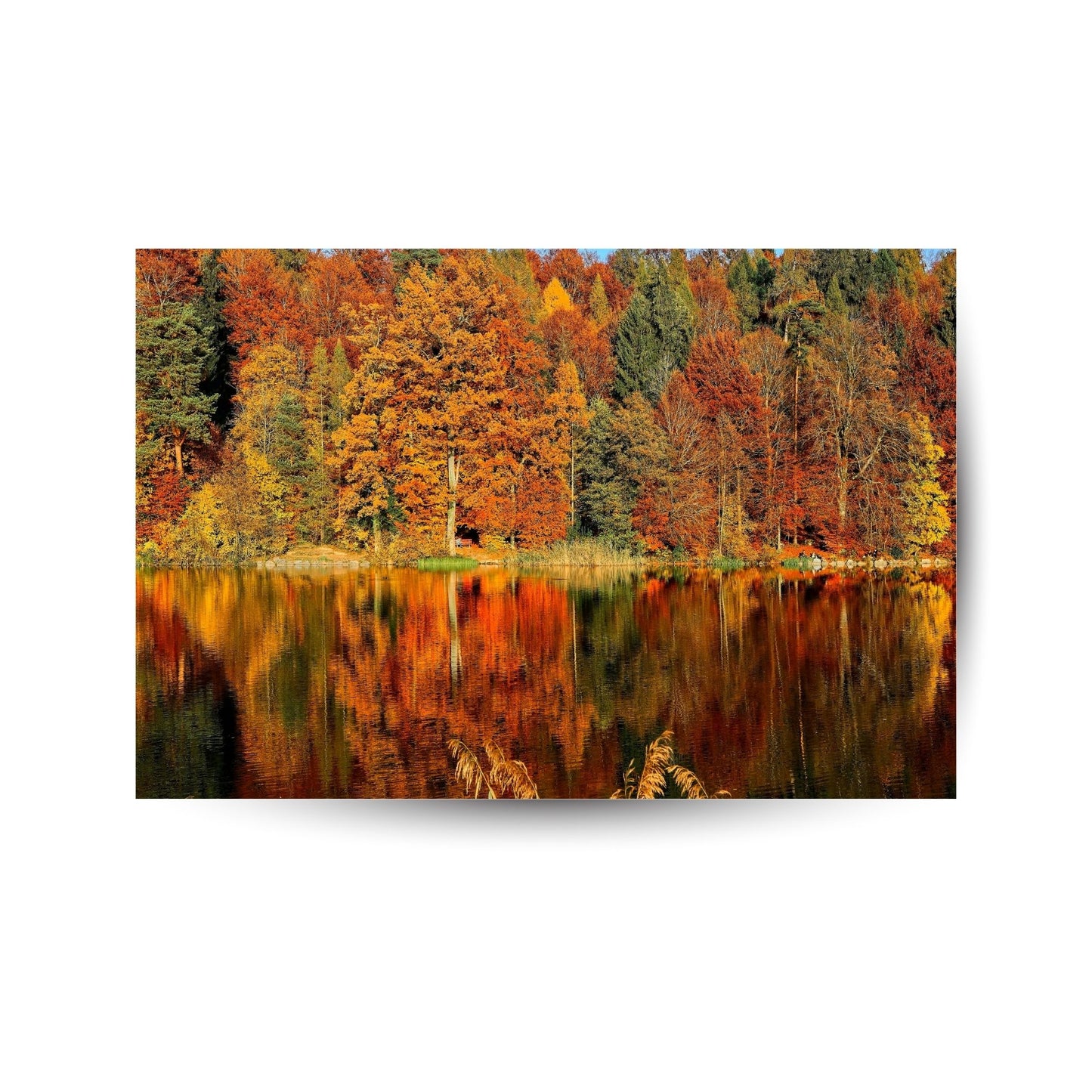 Herbstidylle am See