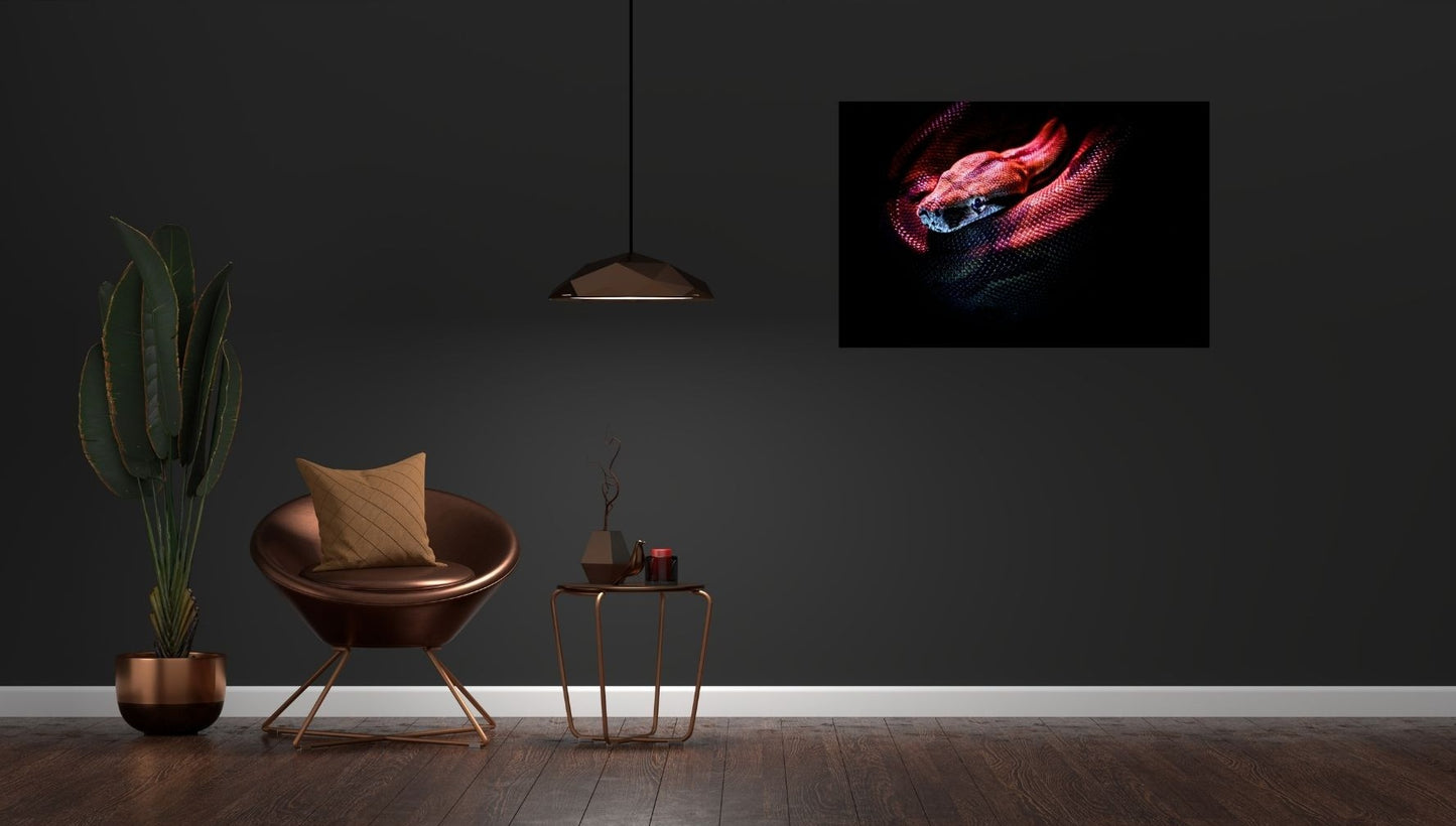 Magische Eleganz in deinem Raum – faszinierende Schlange auf glänzendem Metallposter