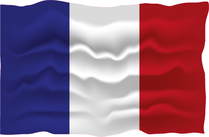 2X Autoflaggen Frankreich