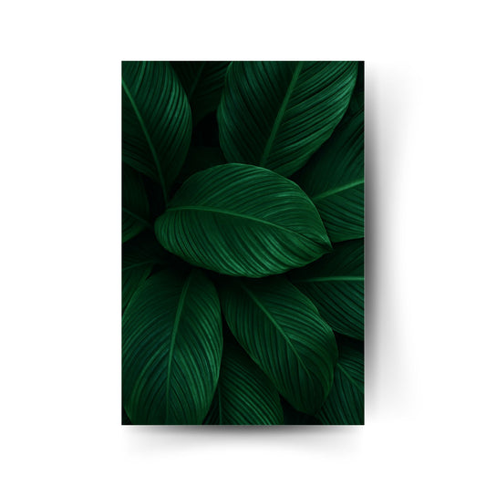 Botanisches Poster mit dunklen tropischen Blättern – sattes Grün und elegante Natürlichkeit.