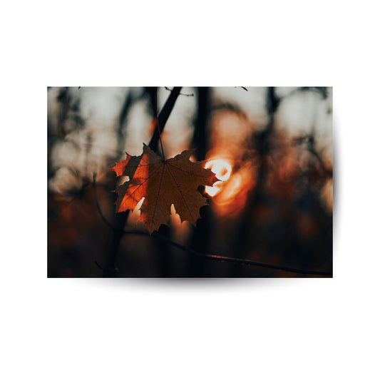 Herbstzauber