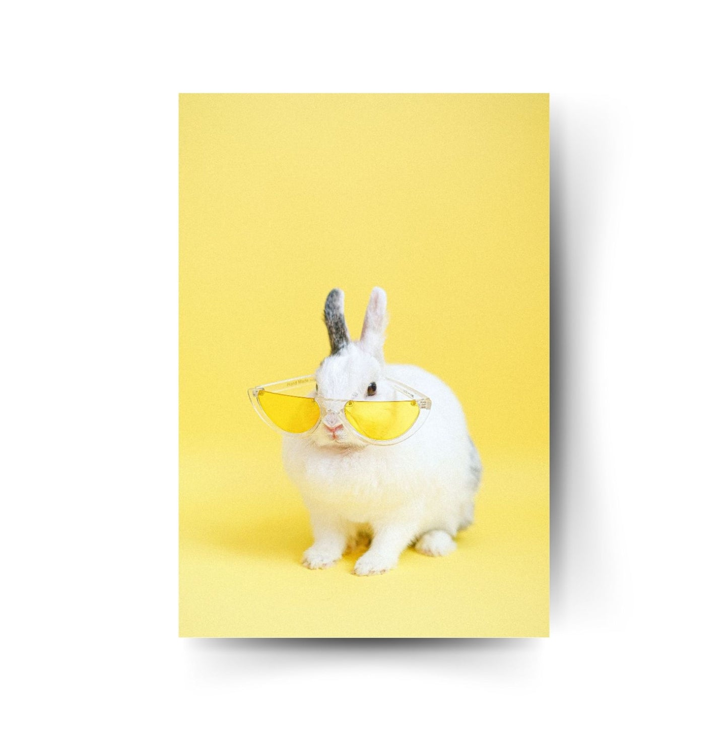 Weißes Kaninchen mit gelber Sonnenbrille vor gelbem Hintergrund – witziges Tierposter mit Retro-Vibes