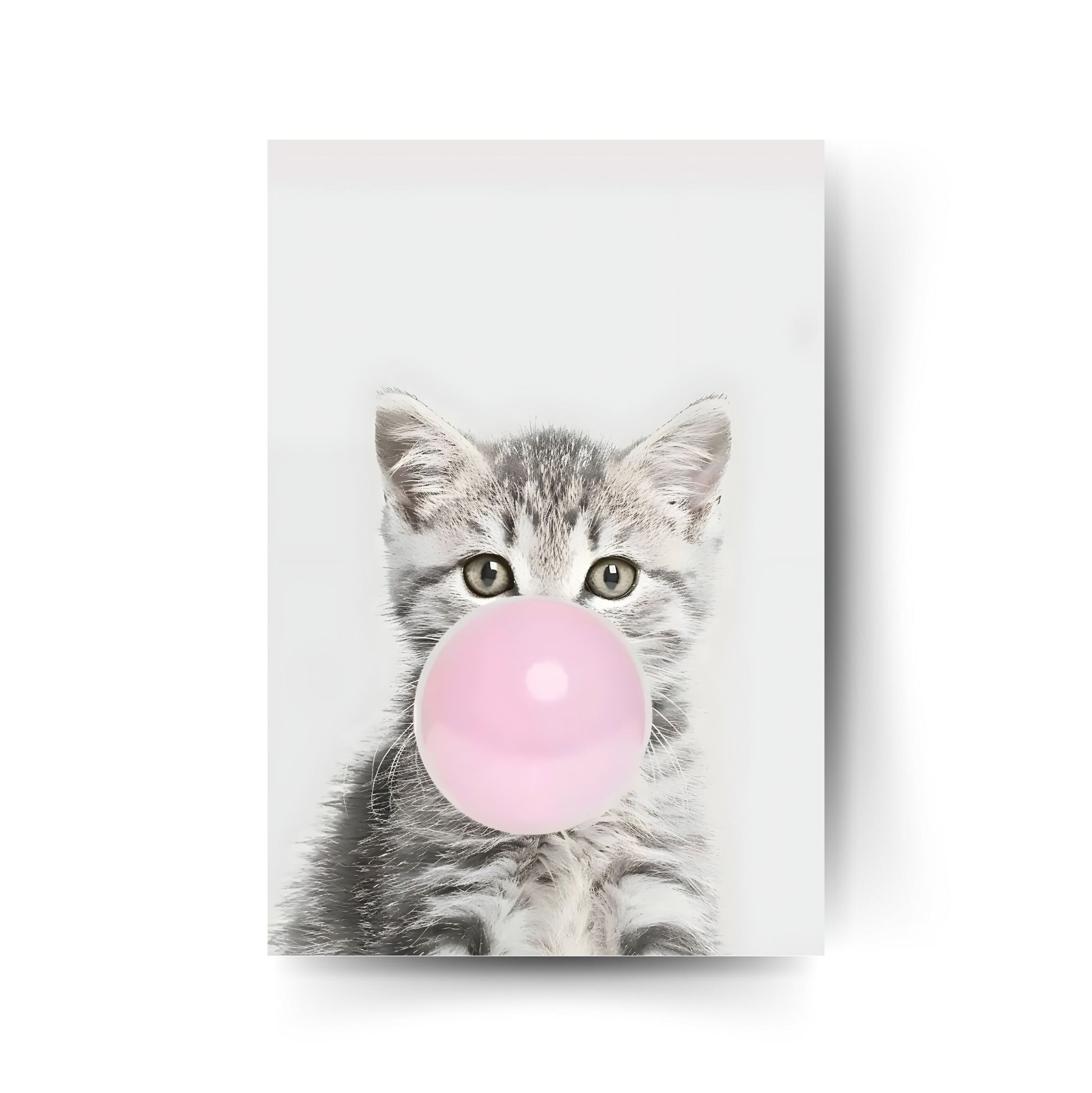 Graue Babykatze mit rosa Kaugummi – lustiges Tierposter mit charmantem Retro-Stil