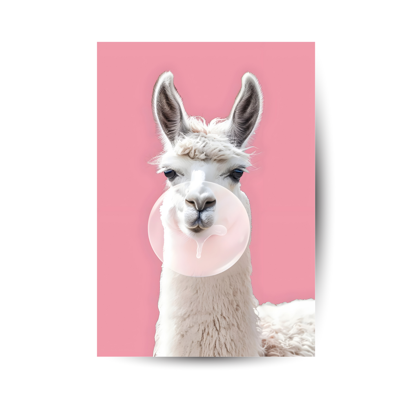 Humorvolles Tierposter mit süßem Lama auf rosa Hintergrund – charmant und auffällig.