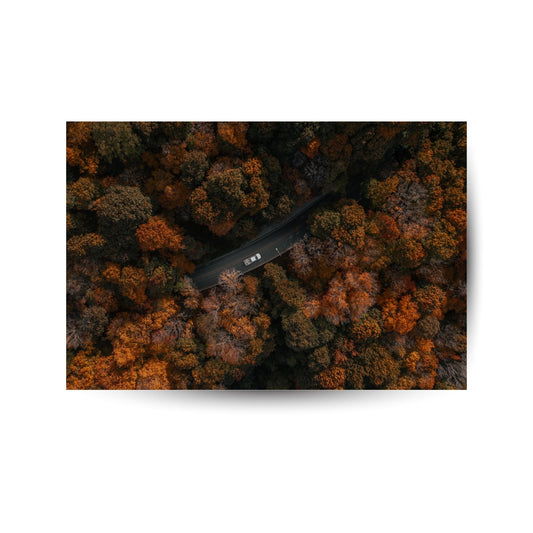 Durch den Herbstwald