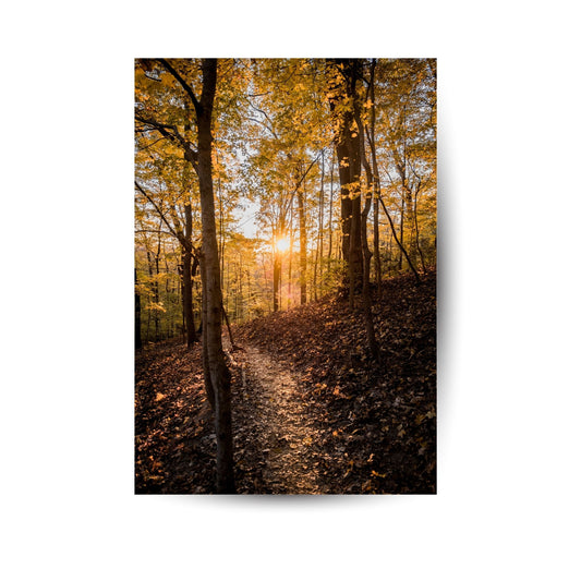Herbstlicher Pfad