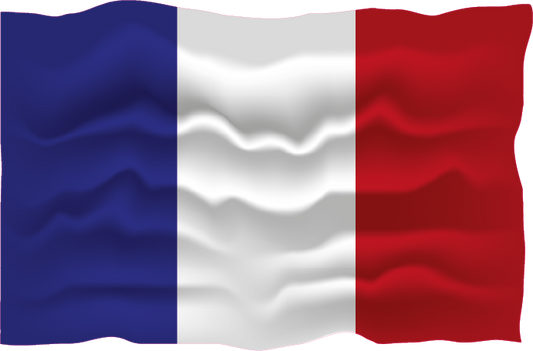 2X Autoflaggen Frankreich