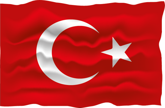 2X Autoflaggen Türkei
